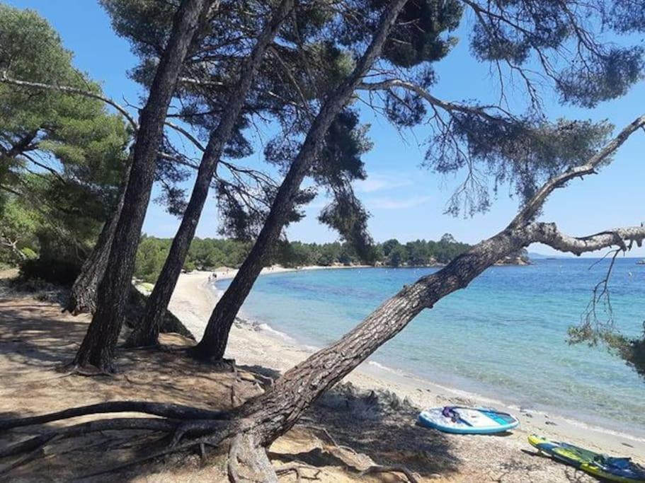 Studio Cabine Climatise 800 M De La Plage Et Des Commerces Bormes-les-Mimosas Bagian luar foto